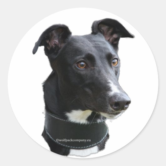 hazewindhond-sticker ronde sticker (Voorkant)