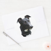 hazewindhond-sticker ronde sticker (Envelop)