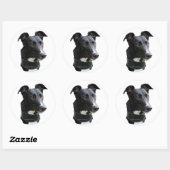 hazewindhond-sticker ronde sticker (Vel)