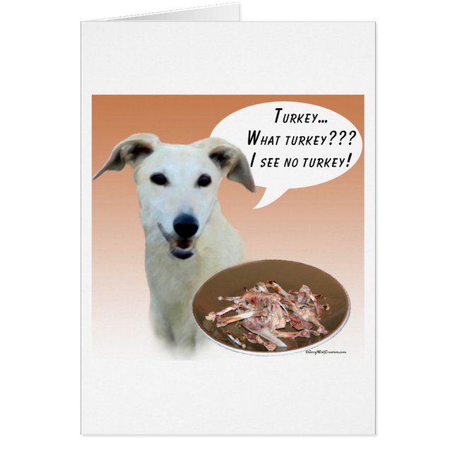 hazewindhond Turkije (Voorkant)