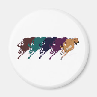 hazewindhonden magneet