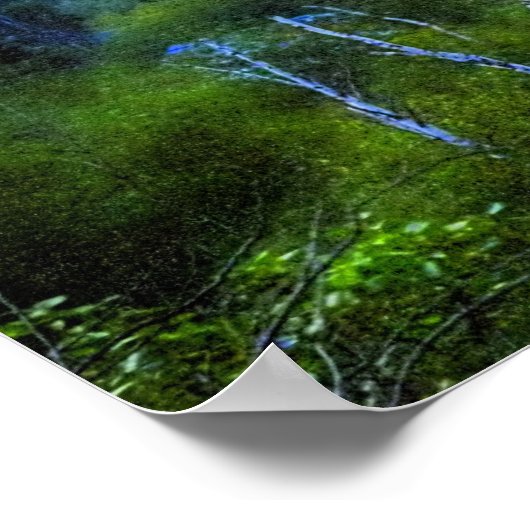 Hazy Morning Poster (Hoek)