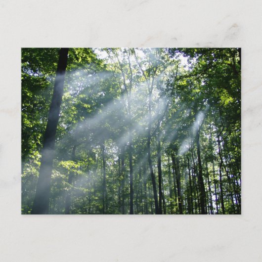 Hazy Tranquability Briefkaart (Voorkant)