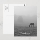 Hazzy Grazing Grijswaarden Briefkaart (Voorkant / Achterkant)