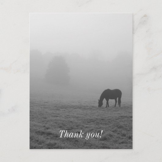 Hazzy Grazing Grijswaarden Briefkaart (Voorkant)