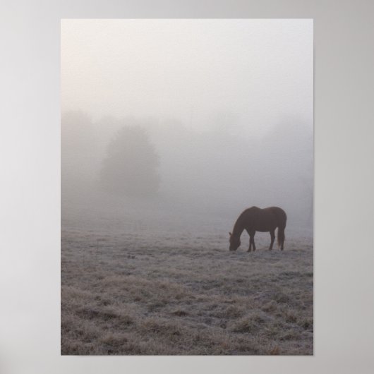 Hazzy Grazing Poster (Voorkant)