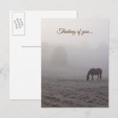 Hazzy Grazing Thinking of You Briefkaart (Voorkant / Achterkant)