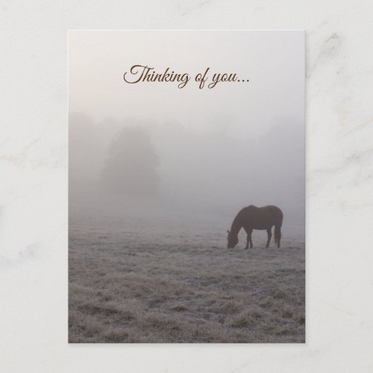 Hazzy Grazing Thinking of You Briefkaart (Voorkant)