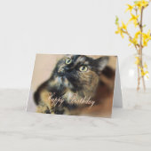 HBD-Tazzie 9055 Kaart (Gele Bloem)