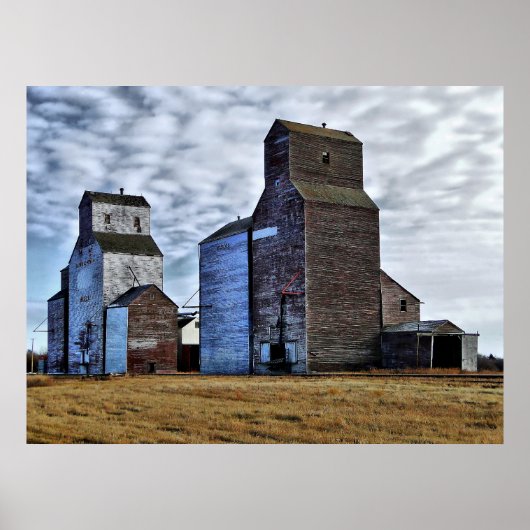 HDR Autumn prairie sentinels Poster Print (Voorkant)