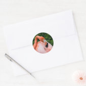HDR Flamingo Vogelvogels Wild Foto Afbeelding Foto Ronde Sticker (Envelop)