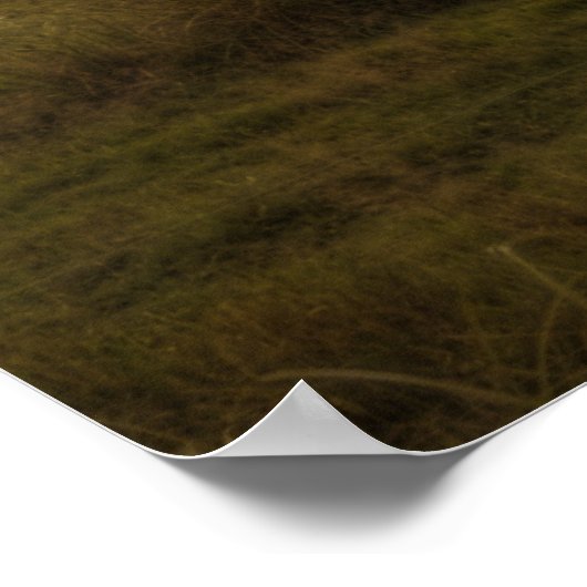 HDR Landschap Poster (Hoek)