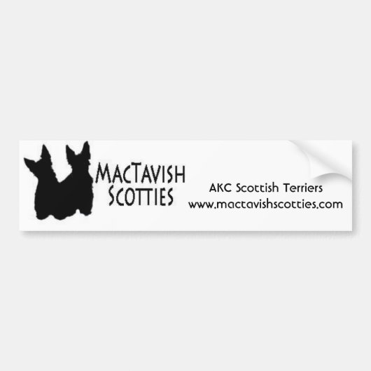 hdr_two, AKC Scottish Terrierswww.mactavishscot... Bumpersticker (Voorkant)
