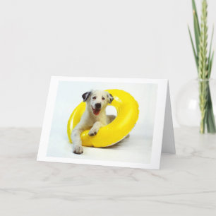 HÉ AFSTUDEERDER, JE DEED HET-GEFELICITEERD EN ONTS KAART