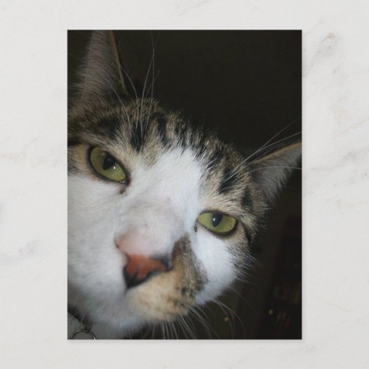 Hé! Briefkaart (Voorkant)