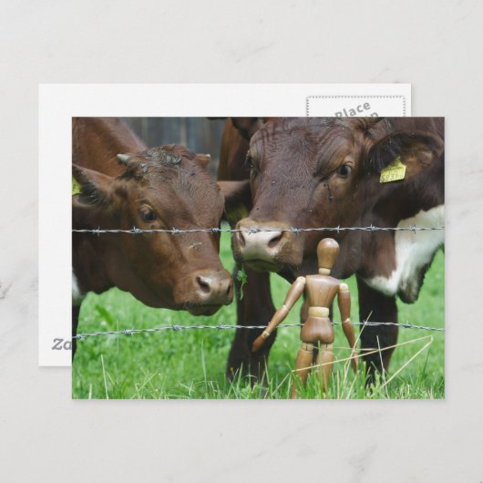 Hé? Briefkaart (Voorkant / Achterkant)