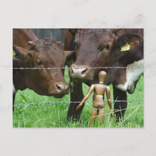 Hé? Briefkaart (Voorkant)