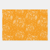 Hé, daar driepuntsblad met tijgerpatroon inpakpapier vel (Voorkant)