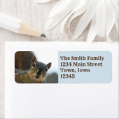 Hé daar. etiket (Insitu)