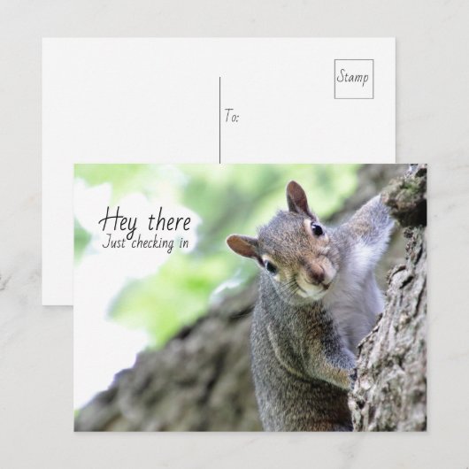 Hé daar, gewoon in Briefkaart kijken  (Voorkant / Achterkant)