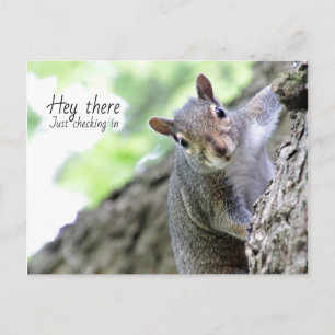 Hé daar, gewoon in Briefkaart kijken 