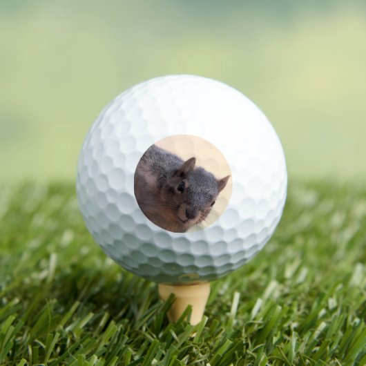 Hé daar. golfballen (Insitu Shirt)