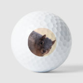 Hé daar. golfballen (Voorkant)