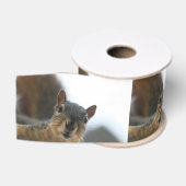 Hé daar. grosgrain lint (Spoel)