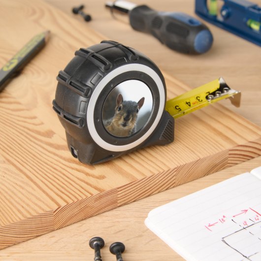 Hé daar. rolmaat (Houtwerk)