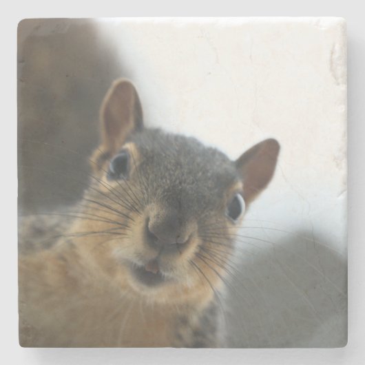 Hé daar. stenen onderzetter (Voorkant)