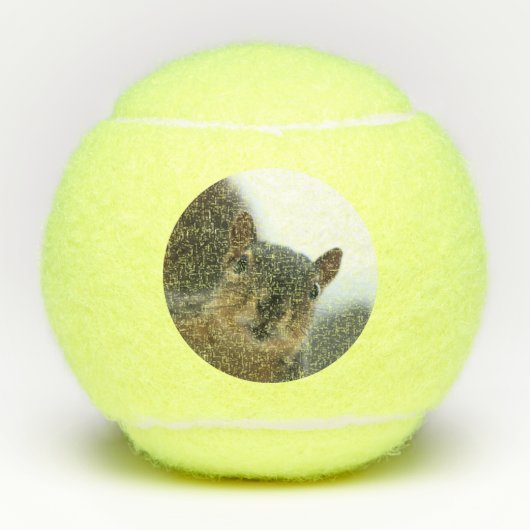 Hé daar. tennisballen (Voorkant)