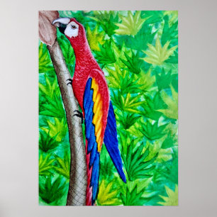 Hé, er zit een scharlaken ara in die boom! poster