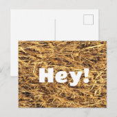 Hé! Hay Briefkaart (Voorkant / Achterkant)