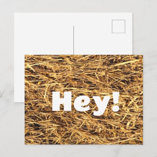 Hé! Hay Briefkaart (Voorkant / Achterkant)