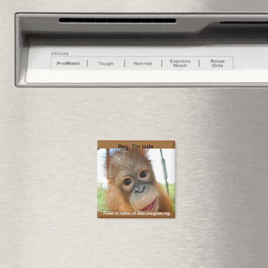 Hé, ik ben een schattige primaat magneet (Insitu (Vaatwasser))