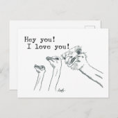 Hé jij! Ik hou van je! - Ostrich Post Card Briefkaart (Voorkant / Achterkant)