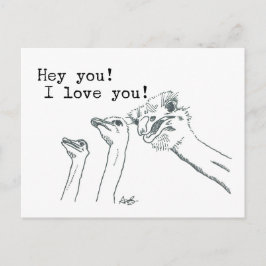 Hé jij! Ik hou van je! - Ostrich Post Card Briefkaart