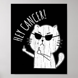 Hé Kanker F U Grappige Kat Middelvinger Kanker Poster