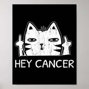 Hé Kanker F U Grappige Kat Middelvinger Kanker Poster