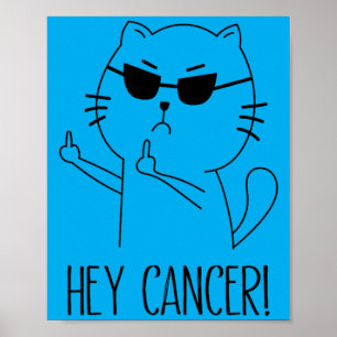 Hé Kanker F U Grappige Kat Middelvinger Kanker Poster