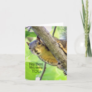 Hé Miss, ik zie je Kaart noteren