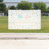 He or She Stars Gender Reveal backdrop Spandoek (Insitu)