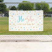 He or She Stars Gender Reveal banner sign  (Insitu)