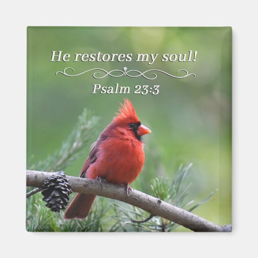 He restores my soul magneet (Voorkant)