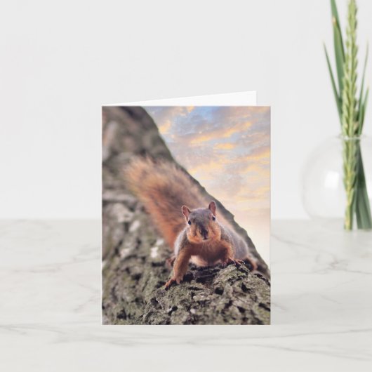 Hé, wat is er op de kaart? kaart (Voorkant)