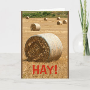 HÉ! Wil je mijn Valentijn zijn? Kaart