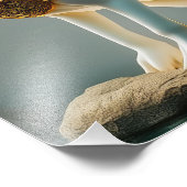 HEA MOTU Hare Island Continentaal Being Lemuria Foto Afdruk (Hoek)