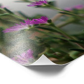 Head First Hummingbird Foto Afdruk (Hoek)