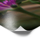 Head First Hummingbird Foto Afdruk (Hoek)