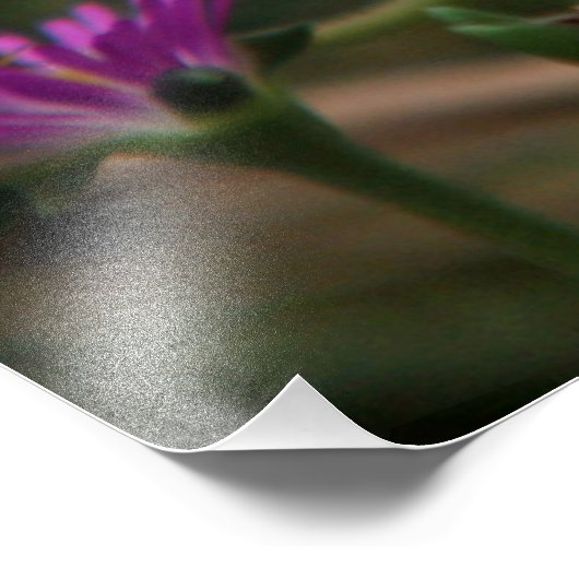 Head First Hummingbird Foto Afdruk (Hoek)